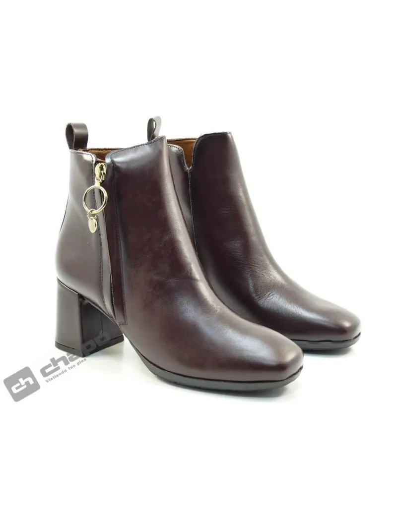 Botines Marron Desiree Dami4