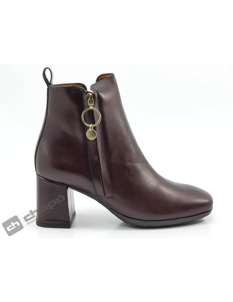 Botines Marron Desiree Dami4