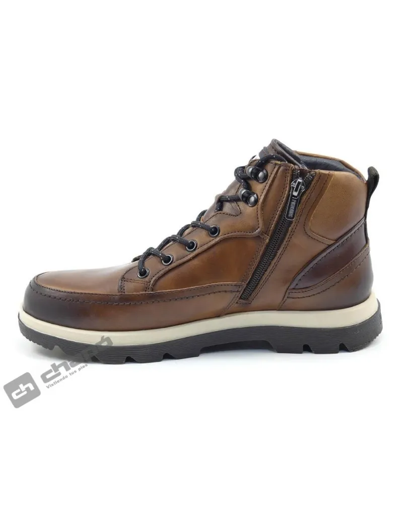 Botines Marron Pikolinos M3m-8107c1 Vigo